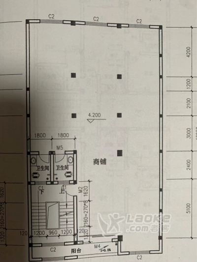 武汉长江新区阳逻施岗街公路旁独栋全框架门面房招租_3